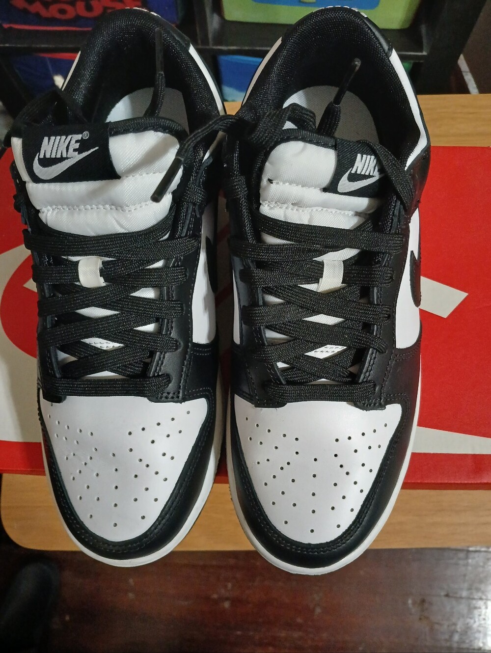 Nike Dunk Low Retro (Womens)